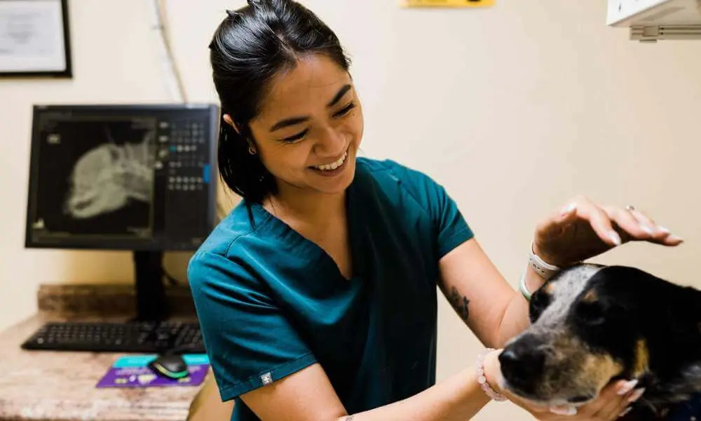 Veterinarian reviewing X-ray with pet owner at Willow Glen Pet Hospital