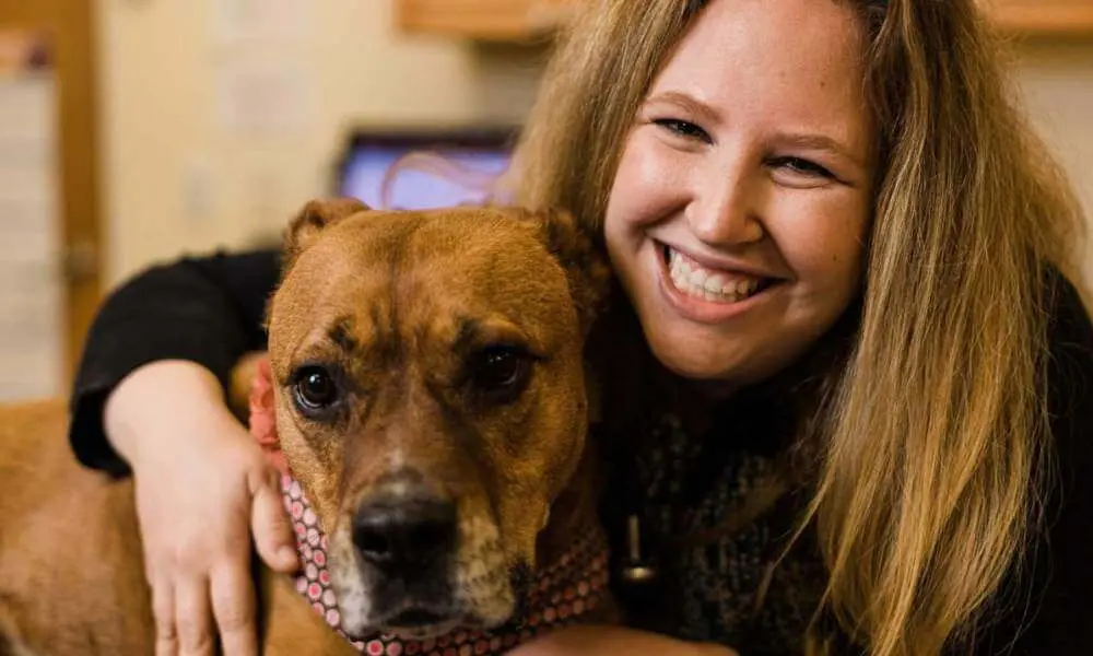 Veterinary team at Willow Glen Pet Hospital San Jose