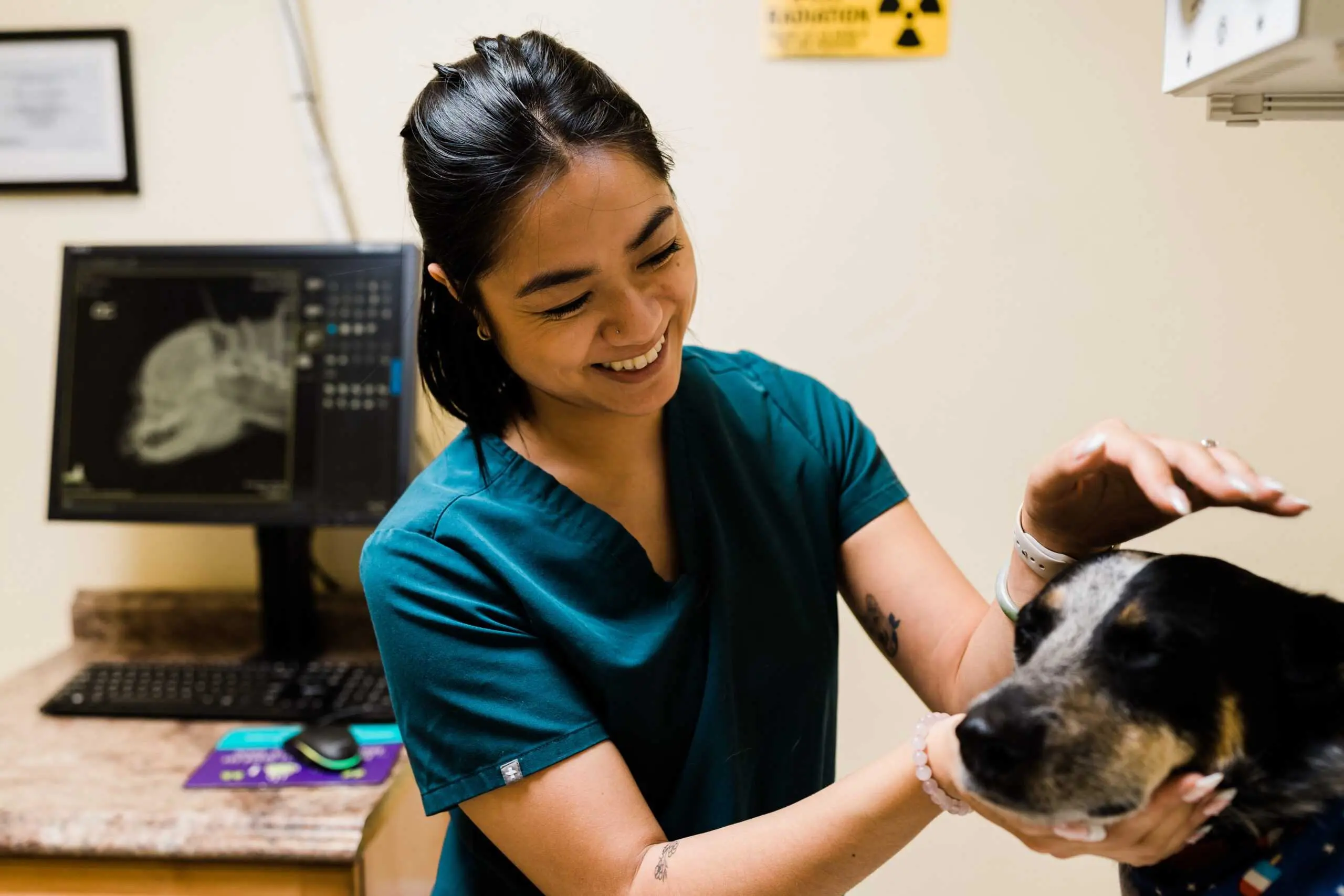 Preventive pet care at Willow vet San Jose